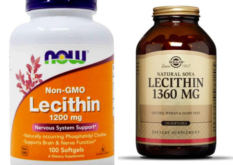 레시틴의 효능 Lecithin, Phosphatidyl choline 글로리아