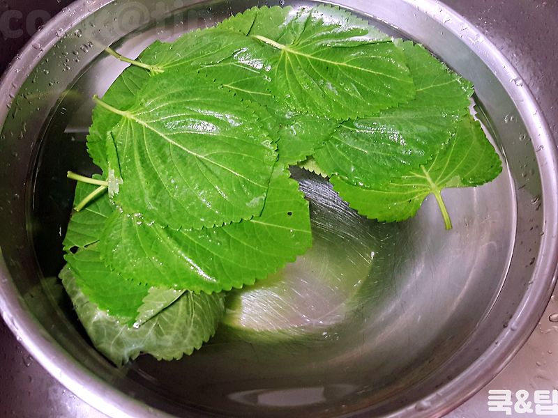 먹다 남은 깻잎 그냥 두었다가 씨 들었다면 바보입니다!