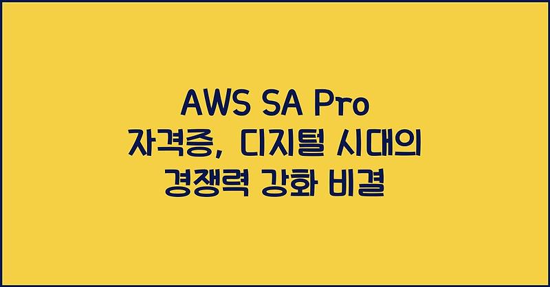 AWS SA Pro 자격증, 디지털 시대의 경쟁력 강화 비결