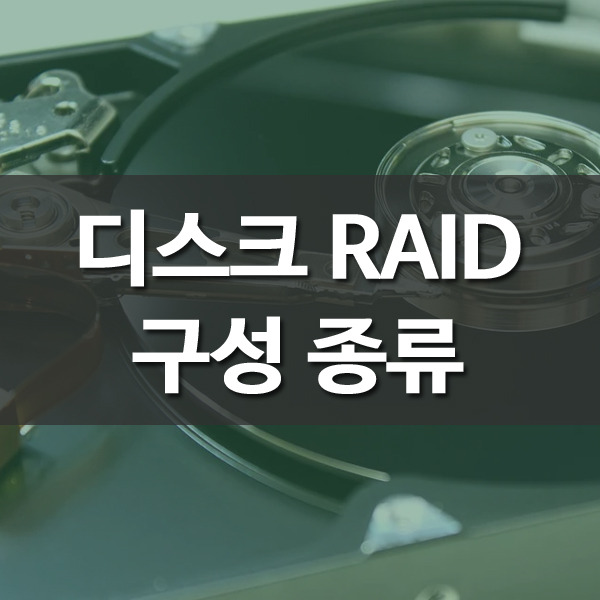 디스크 RAID 구성 종류