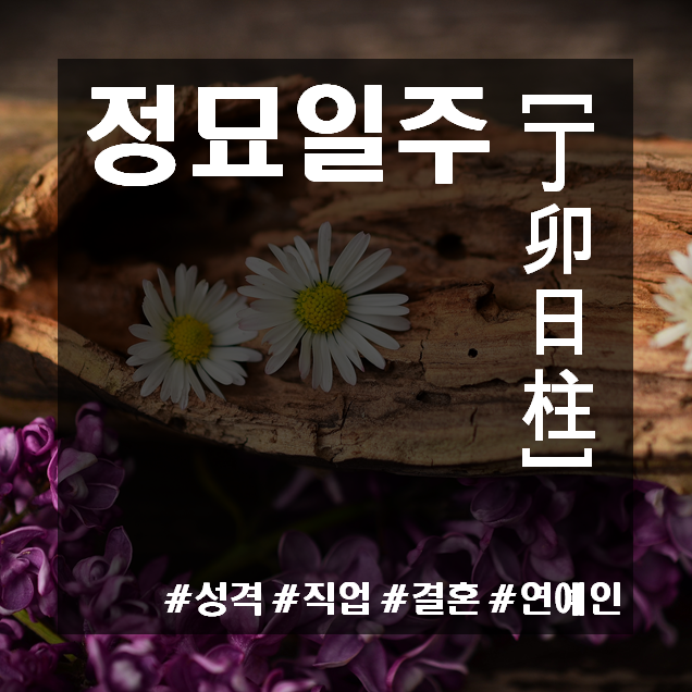 정묘일주(丁卯日柱)