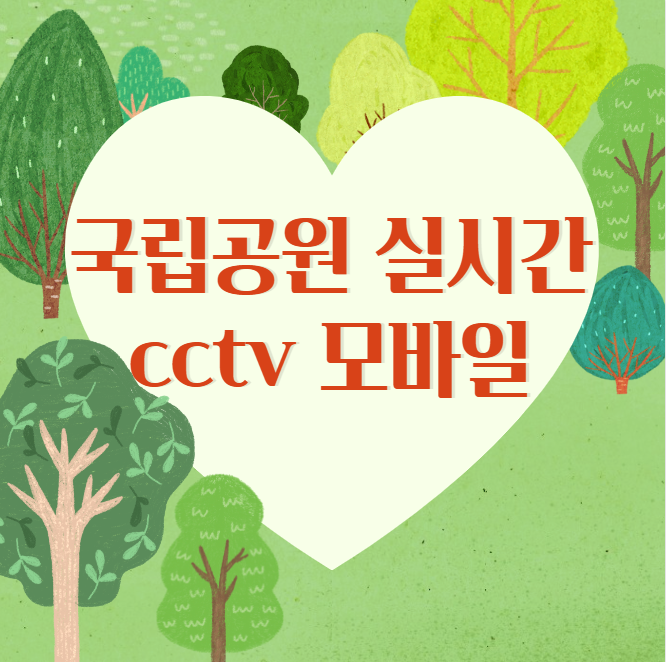 국립공원 실시간 cctv 모바일