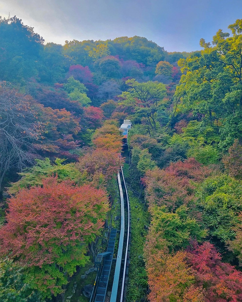 가을단풍명소 ‘화담숲’ 현재 단풍상황 2021.10.24 방문후기