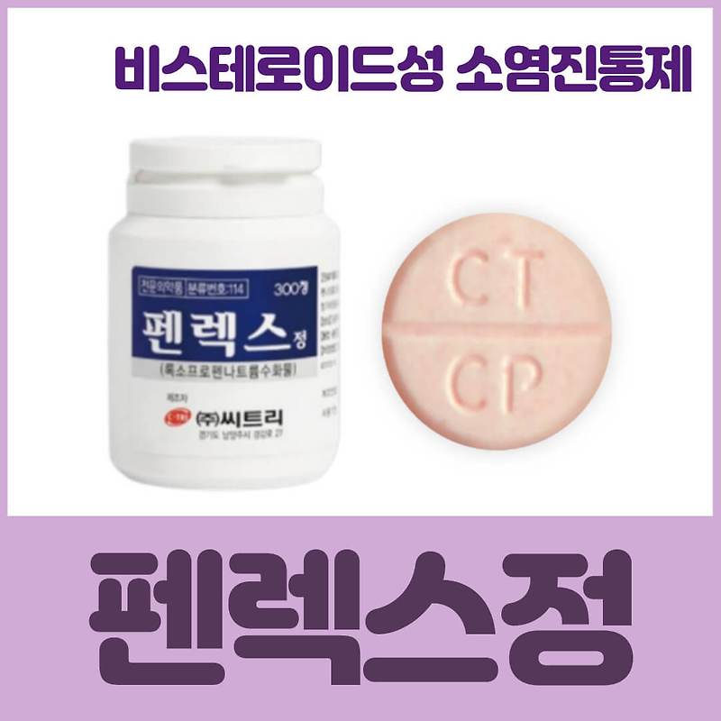 펜렉스정 | 효능 부작용 가격 소염진통제