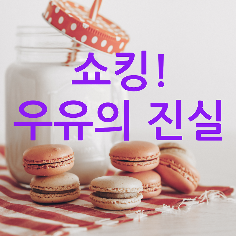 한국인만 모르는 우유의 진실 - 당신도 속고 있다