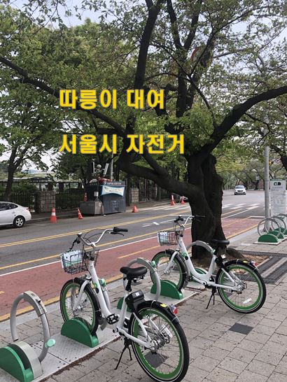 서울시 자전거 따릉이 대여 (여의도 한강공원)