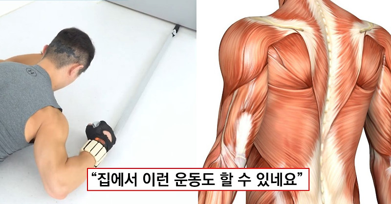 집에서는 할 수 없던 등운동 '이것'만 있으면 등 엄청 잘 먹어요