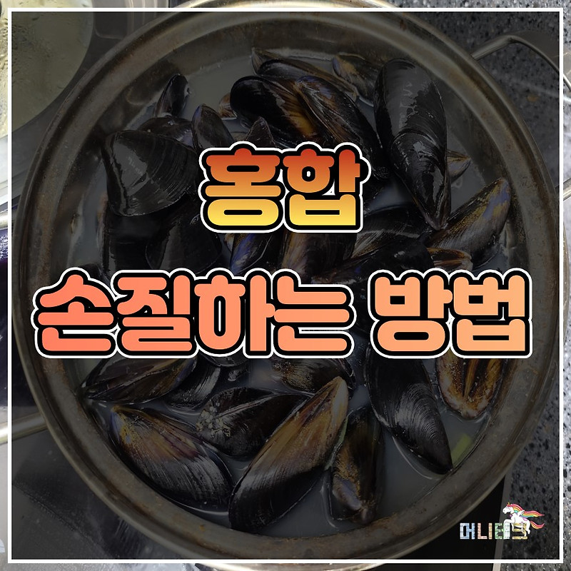 홍합 손질은 어떻게? 홍합 족사 제거하는 방법 (feat.홍합탕)