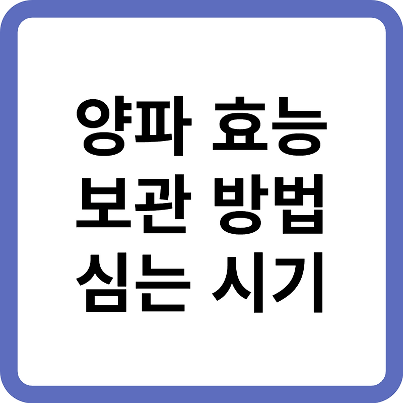 양파 효능 보관 방법 심는 시기