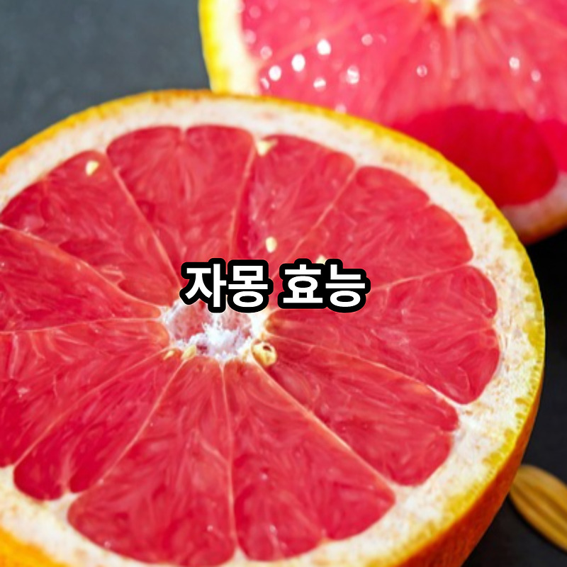 자몽 효능