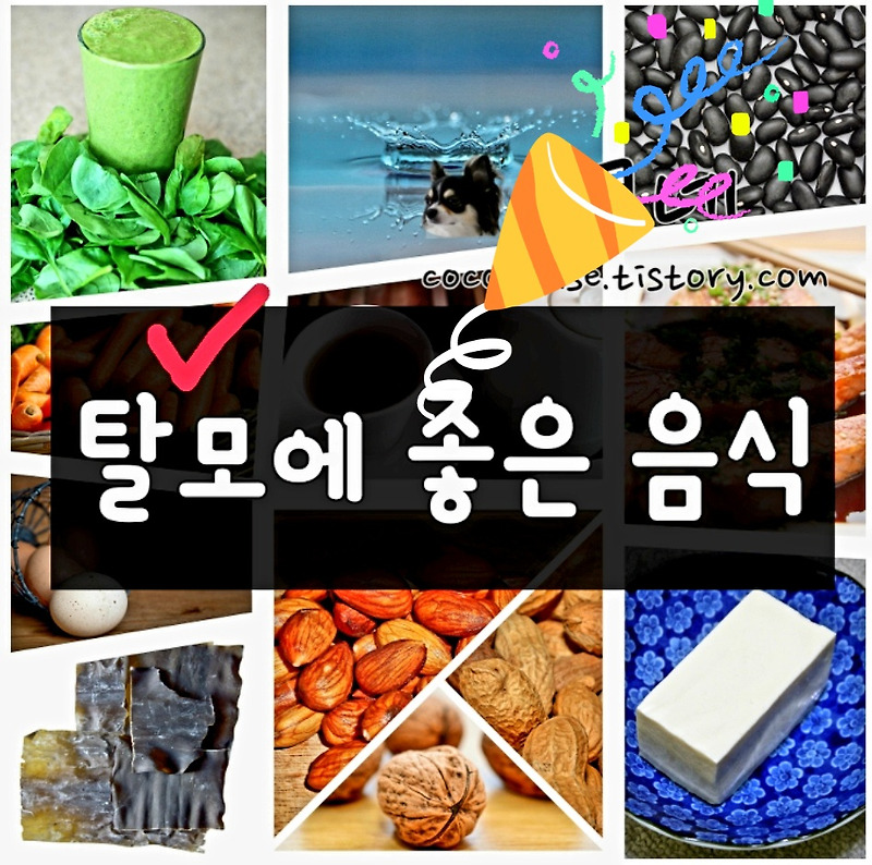 [탈모에 좋은 과일] 이제 먹는 걸로 양보해주세요! 14
