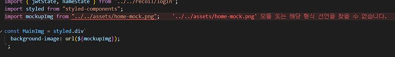 [error]Typescript image import 안되는 현상