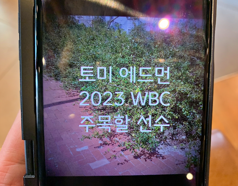 <b>토미 에드먼</b> 국적 연봉, 귀화 선수 아닙니다