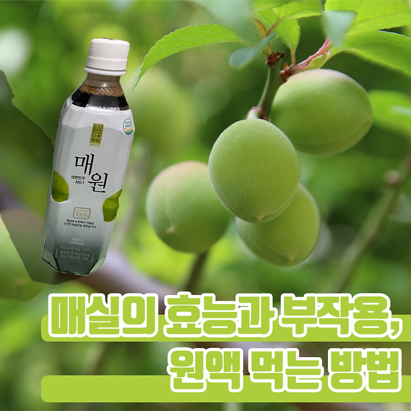 매실원액, 병에 담다 8