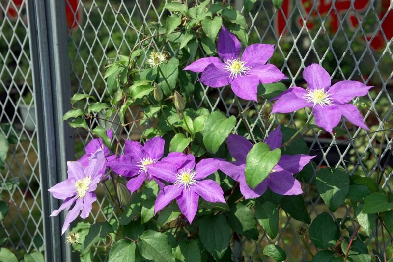 9-12