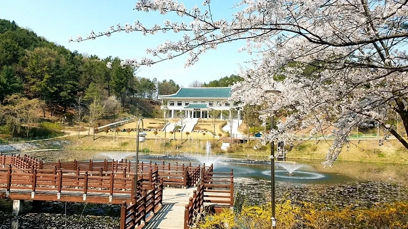 ﻿🔹 대전 근교 당일치기 여행 추천 코스🔹 청주 핫플레이스 완벽 가이드