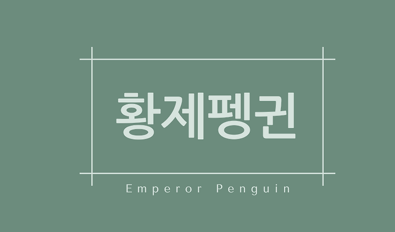 황제펭귄(Emperor Penguin)특징,서식지,종류,천적,수명,몸무게,꿈해몽
