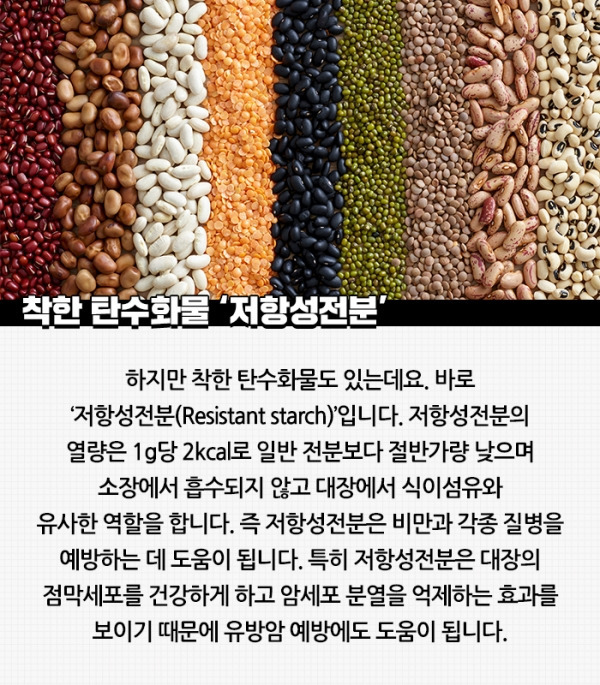저항성 전분이란? 과학부터 식단 활용법까지 완전 정리 :: 옥색바다