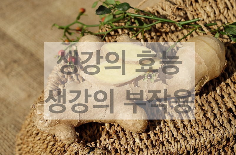 생강의 효능, 부작용 그리고 생강과 다이어트