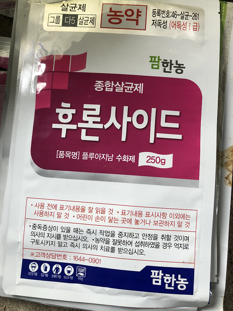 후론사이드