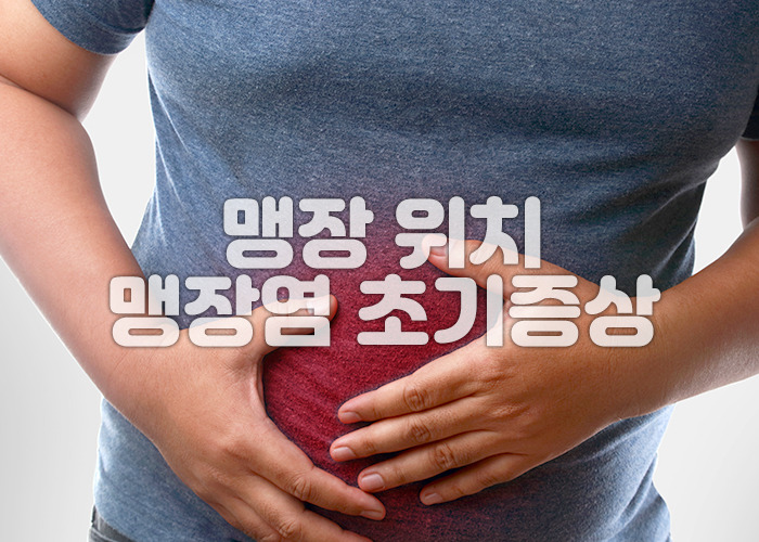 맹장 위치 맹장염 초기증상 원인 알아봅니다