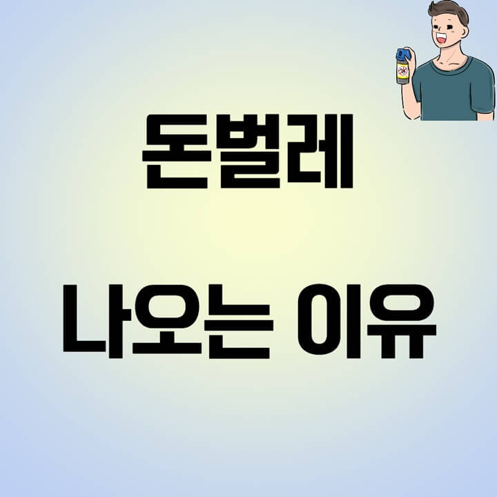 '돈벌레 나오는 이유' 그리마 퇴치, 물림, 잡는법 - 벌레사진없음