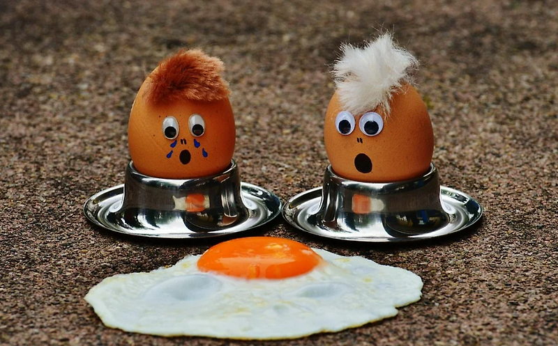 계란 유통기한, 상한계란 오래된 계란 구별법, 보관법