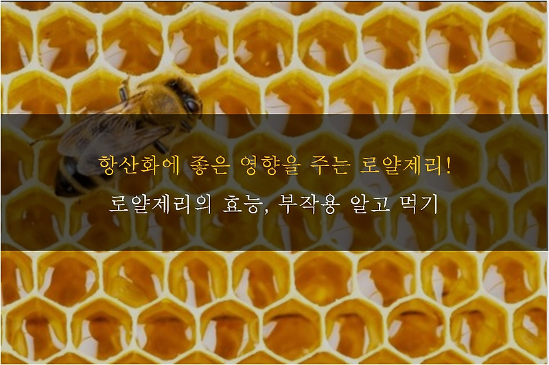 알고 먹자! 로얄제리의 효능, 부작용, 복용량