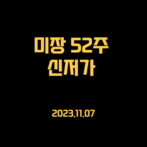 23.11.07 미국주식 신저가