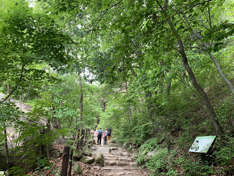 초보자 등산코스로 딱인 도봉산 마당바위 코스! :: 끼룩씨의 오늘하루