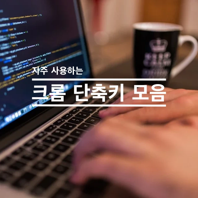 자주 사용하는 유용한 크롬 단축키 정리 [Mac]