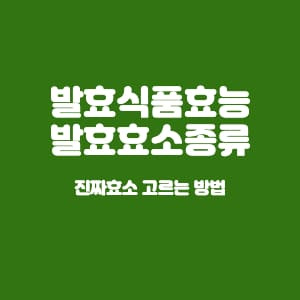 발효식품효능 발효효소종류 진짜효소 고르는 방법