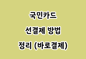 국민카드 선결제 방법 정리 (바로결제)