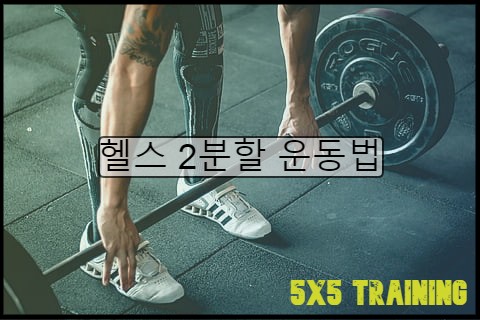 헬스 초보 2분할 운동법 - 5x5 운동 루틴