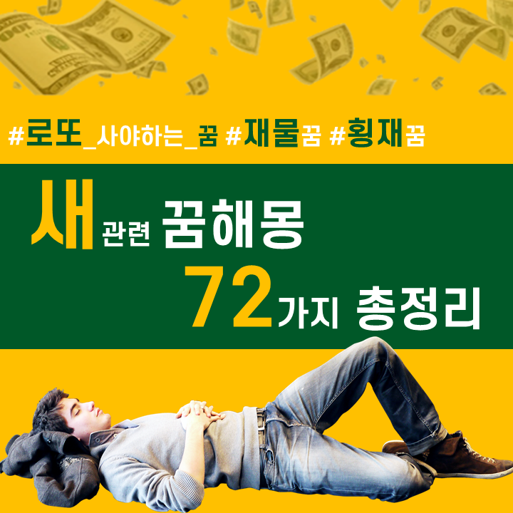 새꿈 새 관련 꿈해몽 72가지 총정리 [참새꿈, 앵무새꿈 등]