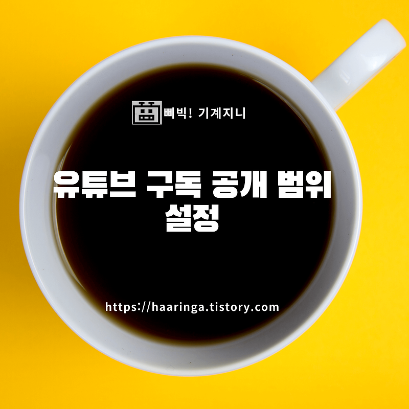 유튜브 채널 구독 정보(공개 범위 설정) 메뉴가 없어요. 구독 정보 공개해서 이벤트 당첨