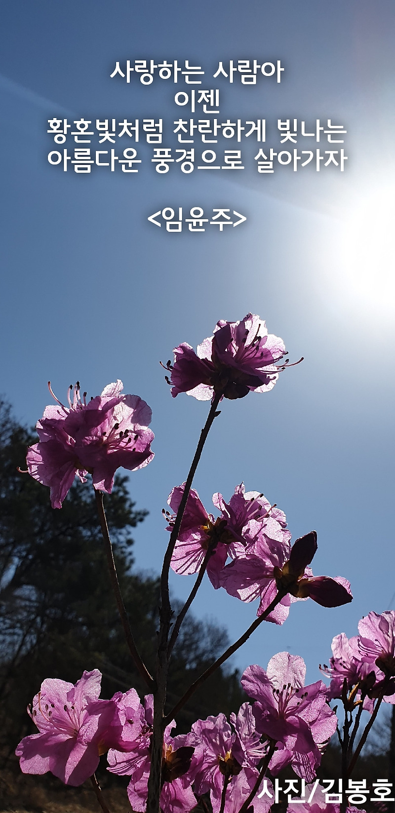 [좋은글]아름다운 풍경으로 살아가자...!!!