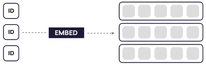 Embedding vs Encoding