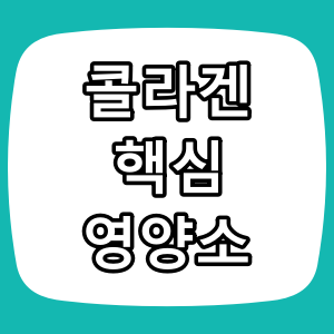 콜라겐, 피부와 관절을 위한 핵심 영양소 정리