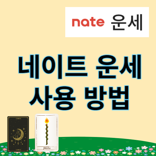 네이트 운세 사용 방법(무료 운세, 신년 2024 운세)