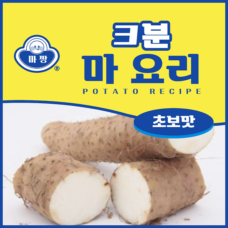 마 먹는 법 : 마의 효능과 다양한 요리 방법 안내
