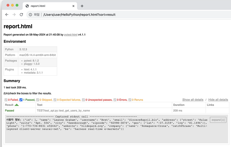  python pytest api 