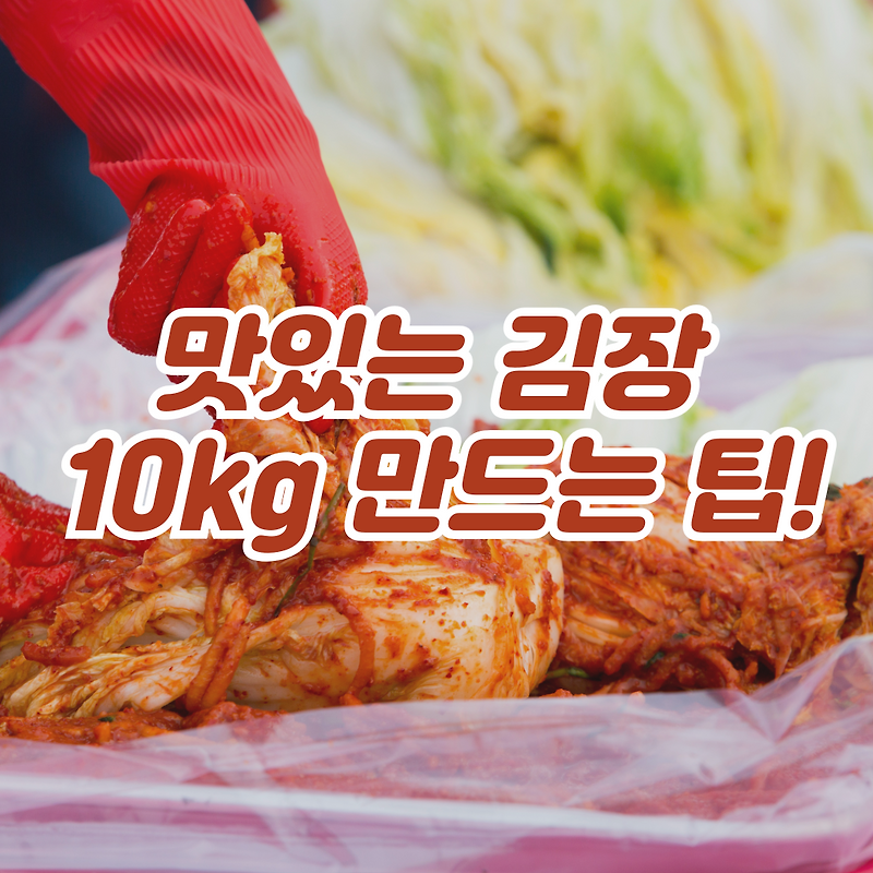 맛있는 김장 김치 10kg 담그기 레시피