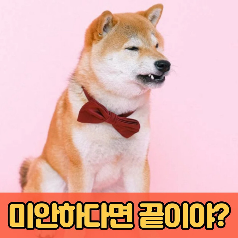 [출근길 영어회화] 짜증에 관련된 5가지 영어표현 L 참다 영어로, 아니꼽다 영어로