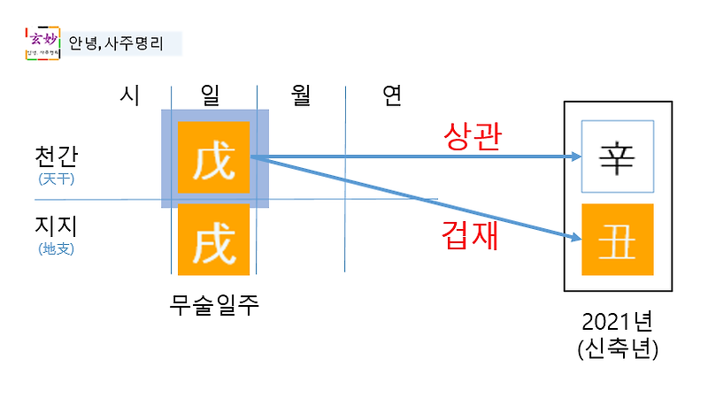 2021년 신축년 운세(무술일주)