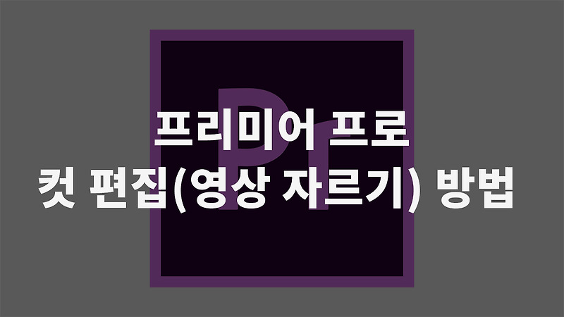 프리미어 프로 영상 클립을 잘라 컷편집 하는 방법(컷 편집 꿀팁)