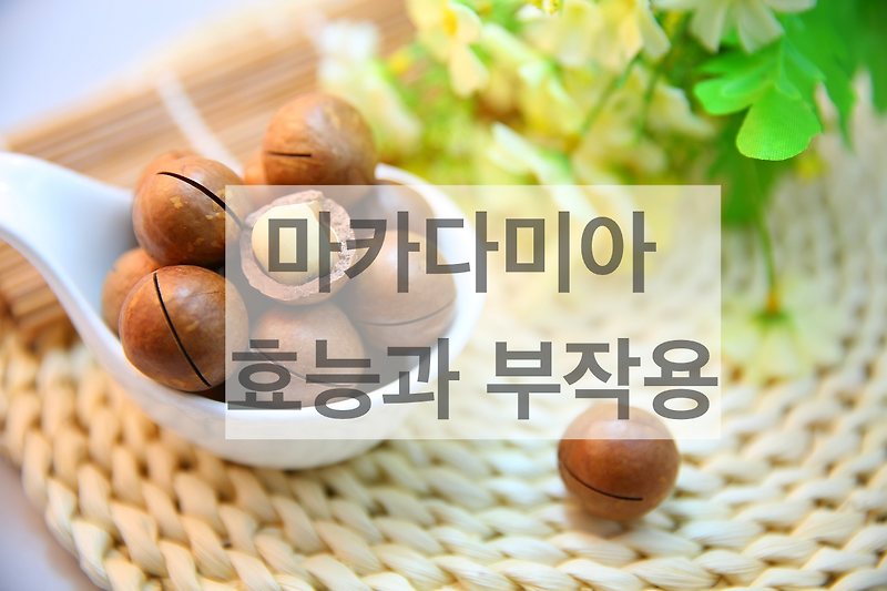 마카다미아 효능과 부작용. 마카다미아넛 칼로리는?