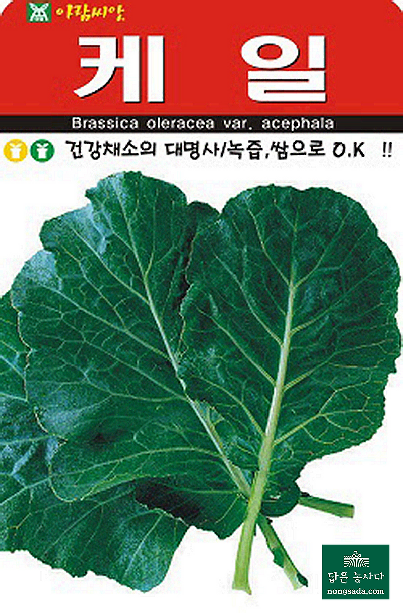 아람종묘 케일 씨앗종자: 높은 품질과 생명력, 건강한 채소