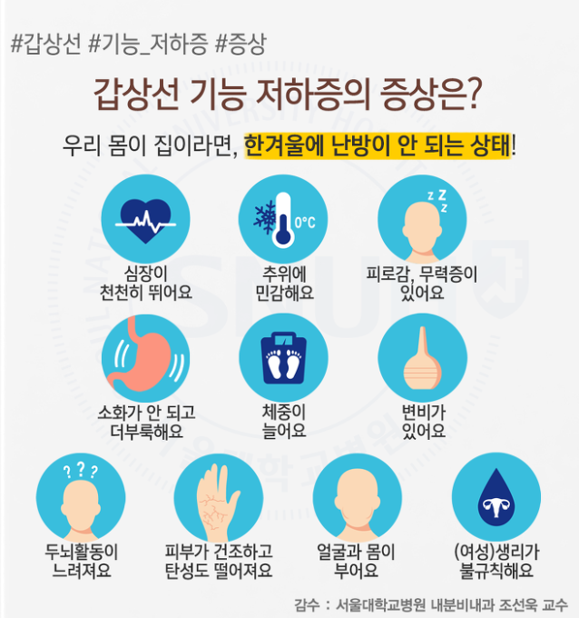 [임신 6~8주차] 갑상선기능저하증/혓바늘/치질/졸림/가슴두근거림/동치미