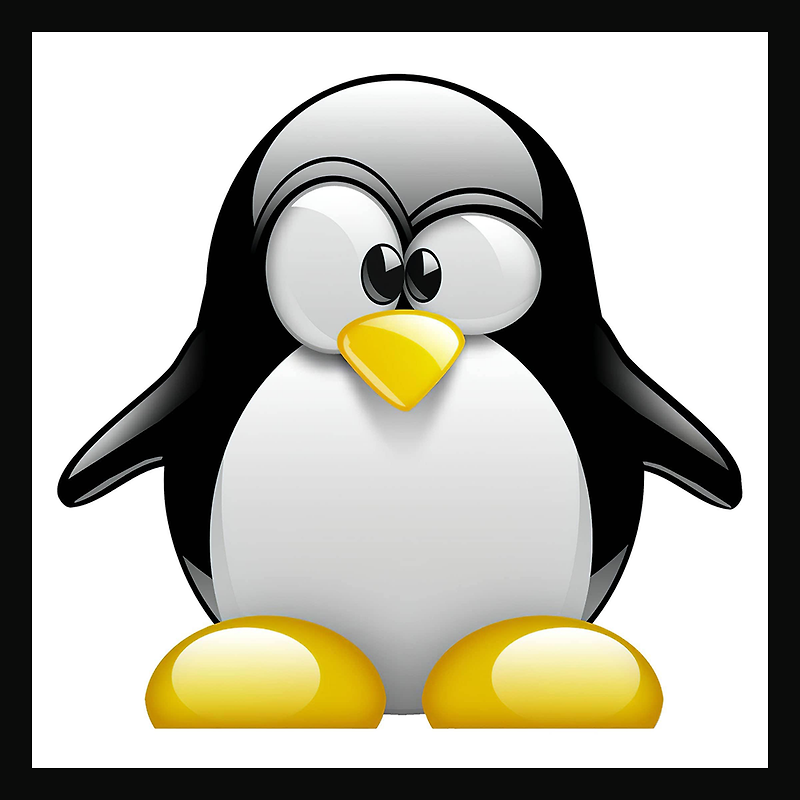 Linux 7 